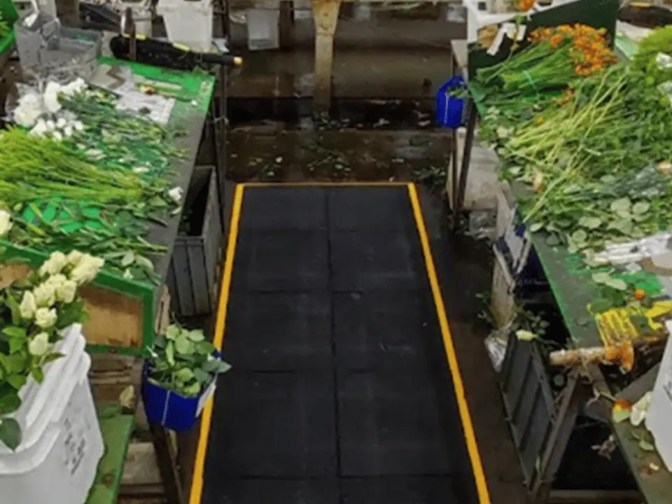Ecobaldosa instalada en bodega industrial